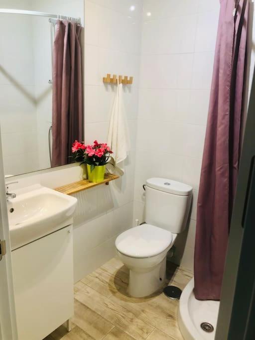 Appartement Centrico Piso Con 2 Camas De Matrimonio