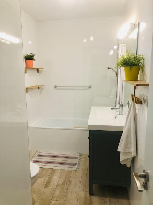 Centrico Piso Con 2 Camas De Matrimonio Apartment Málaga
